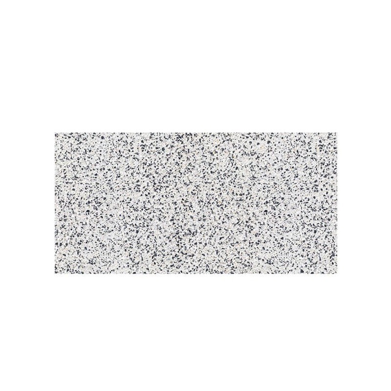 Gresie portelanata interior / exterior, gri, 60 x 30 cm, Granito, Cesarom