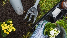 CURTE SI GRADINA