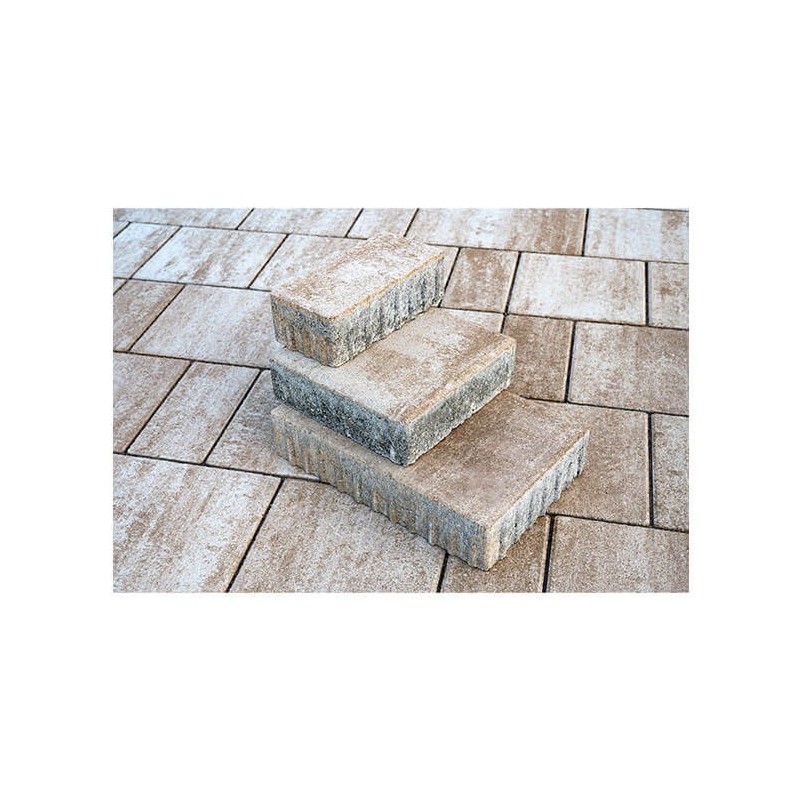 Pavaj Viastein, Sempre Mistro mokka, 6 cm