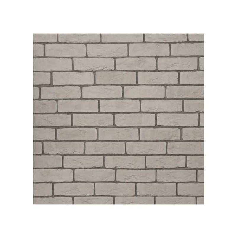 Piatra decorativa Riga 05, 1 mp / cutie