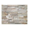 Piatra naturala Beige Gneiss Formed 5L